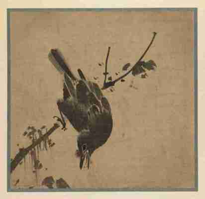 明 林良 木鸟图 30.3×31.3