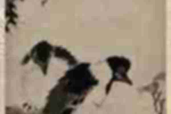 明 林良 花鸟图轴 上博247×50